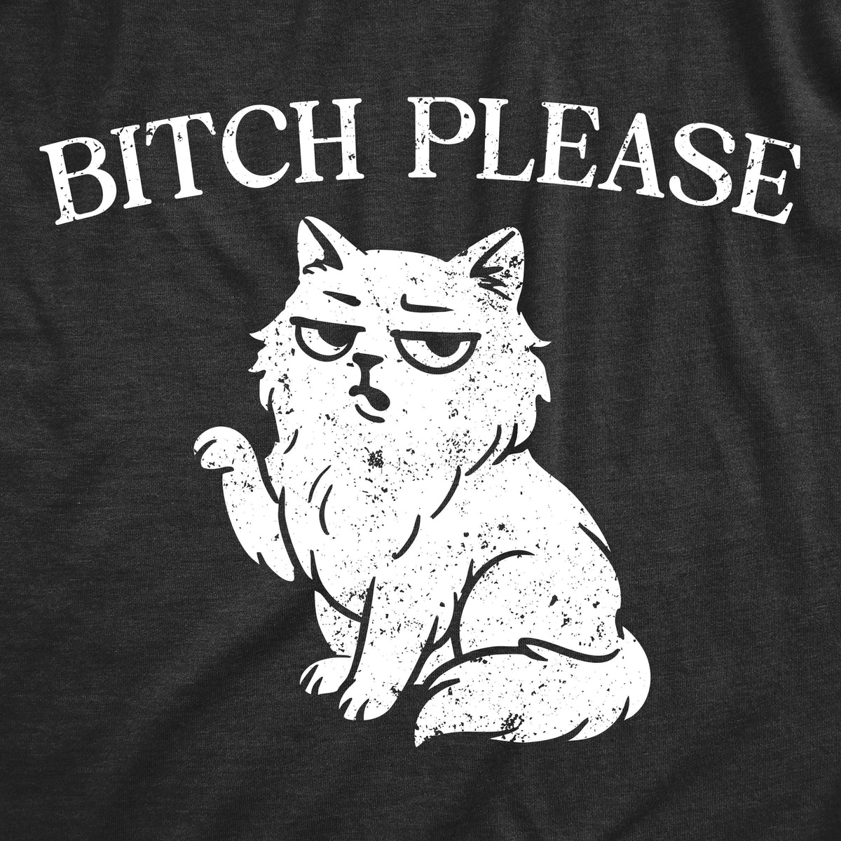 Bitch Please Cat Women's T Shirt product image 2