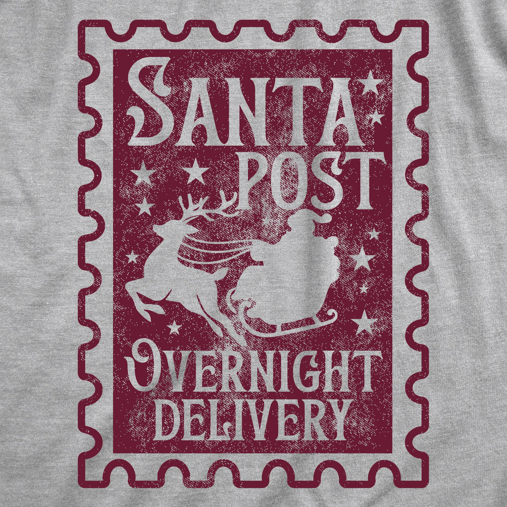 Santa Post Overnight Delivery Women's T Shirt product image 2