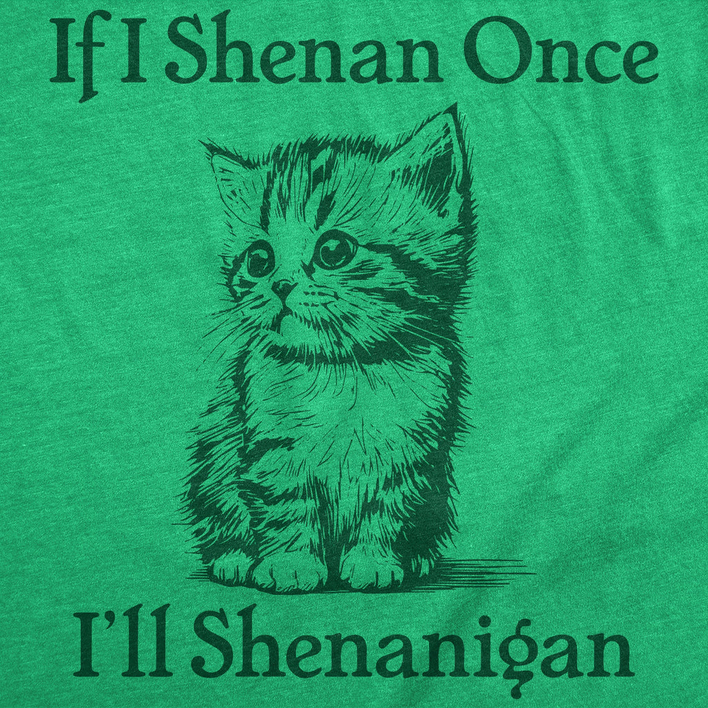 If I Shenan Once Ill Shenangian Youth T Shirt product image 2