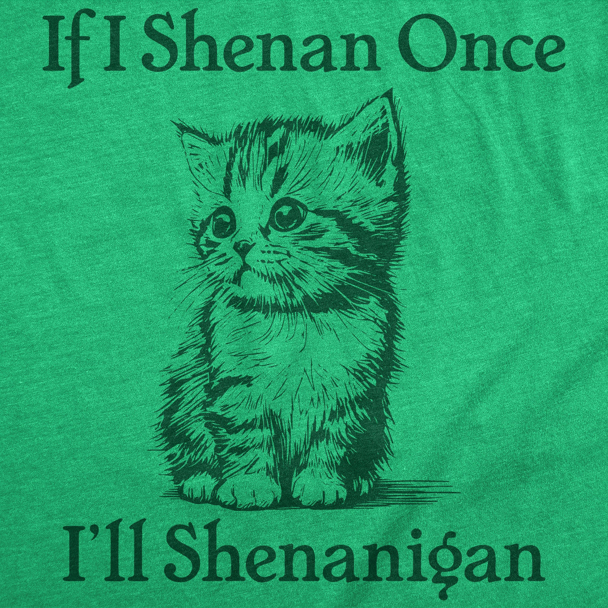If I Shenan Once Ill Shenangian Youth T Shirt product image 2