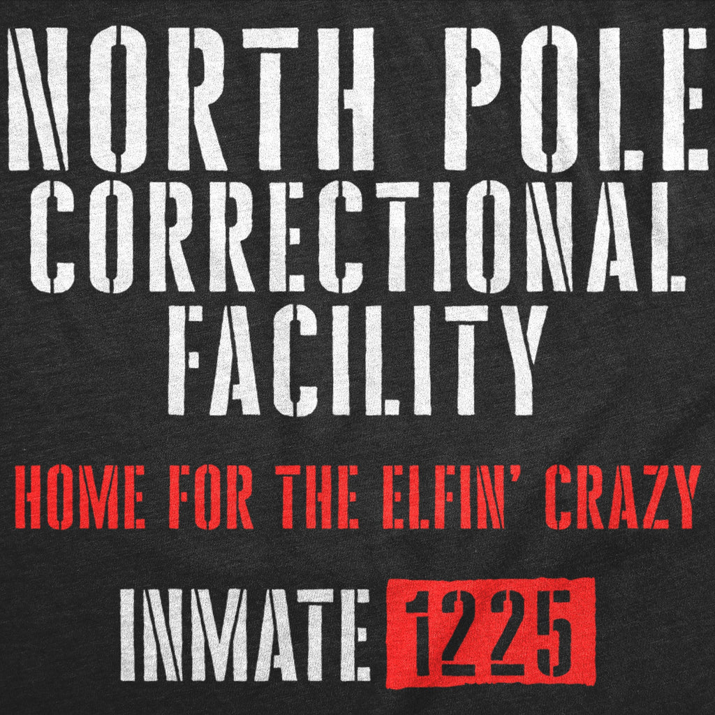 North Pole Correctional Facility Men's T Shirt product image 2