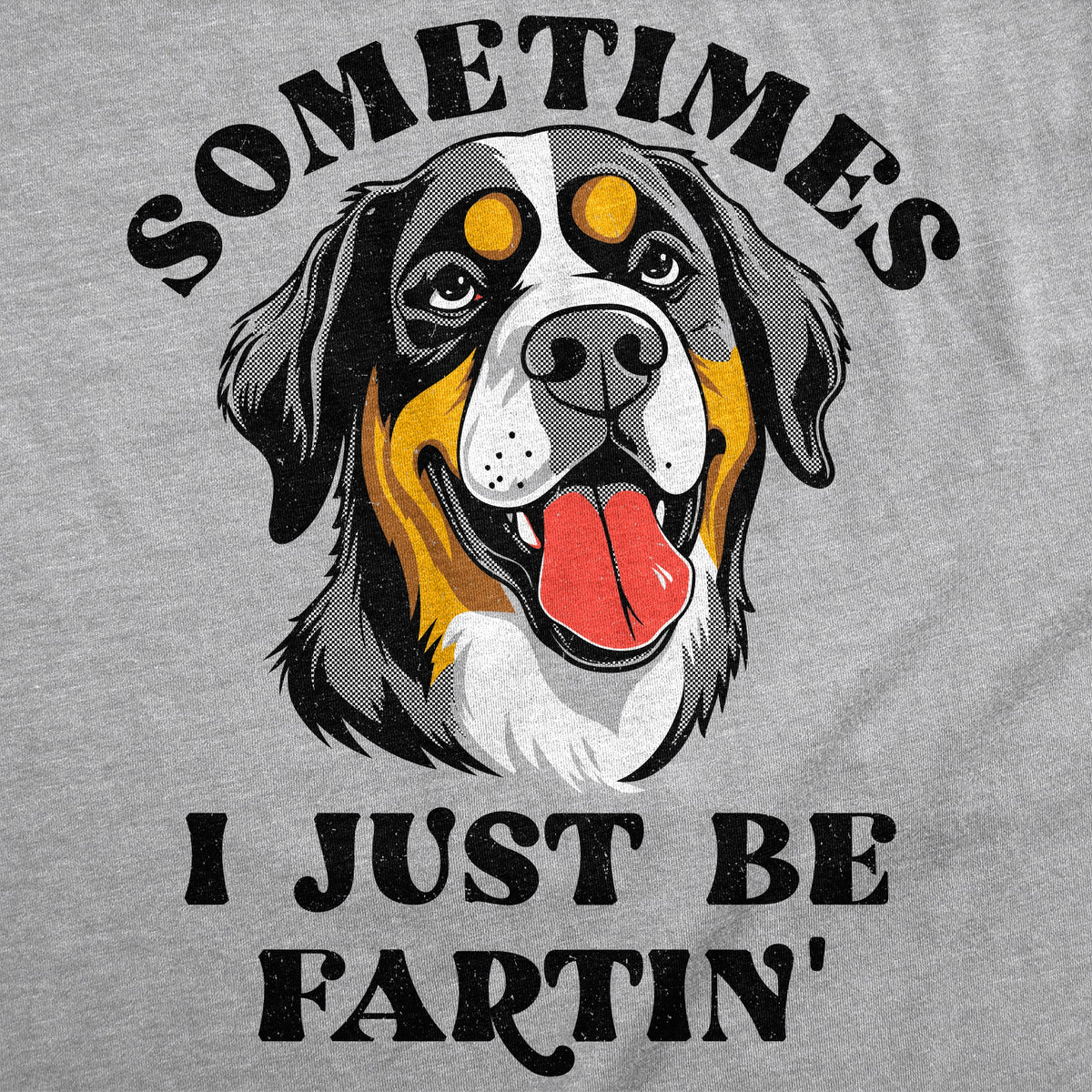 Sometimes I Just Be Fartin Women's T Shirt product image 2