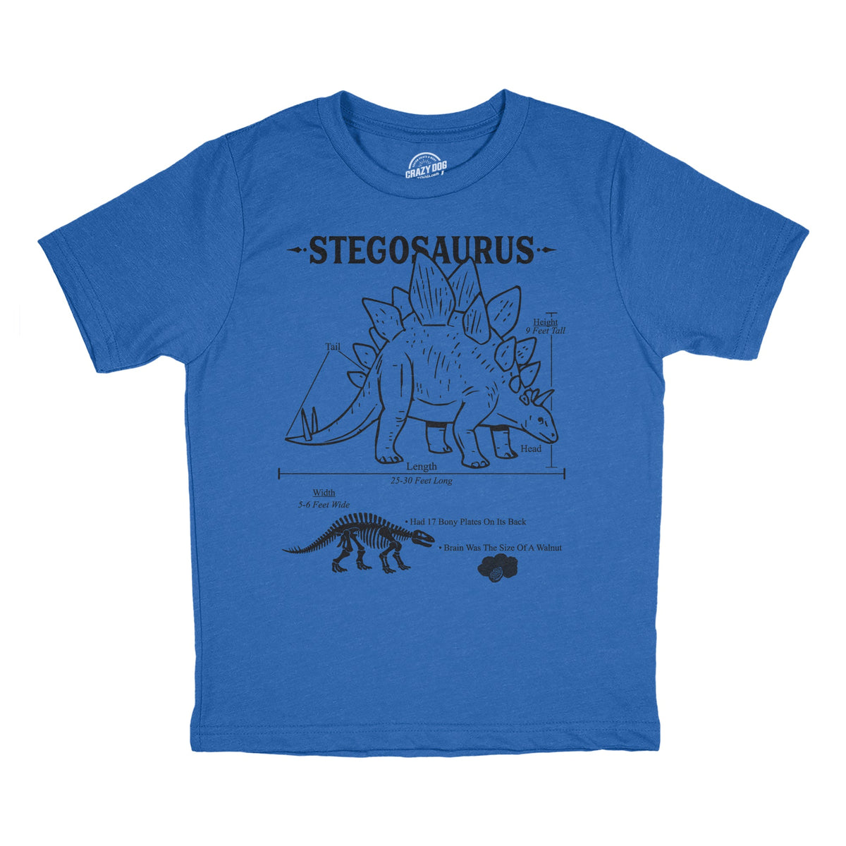 Stegosaurus Infographic Youth T Shirt product image 1