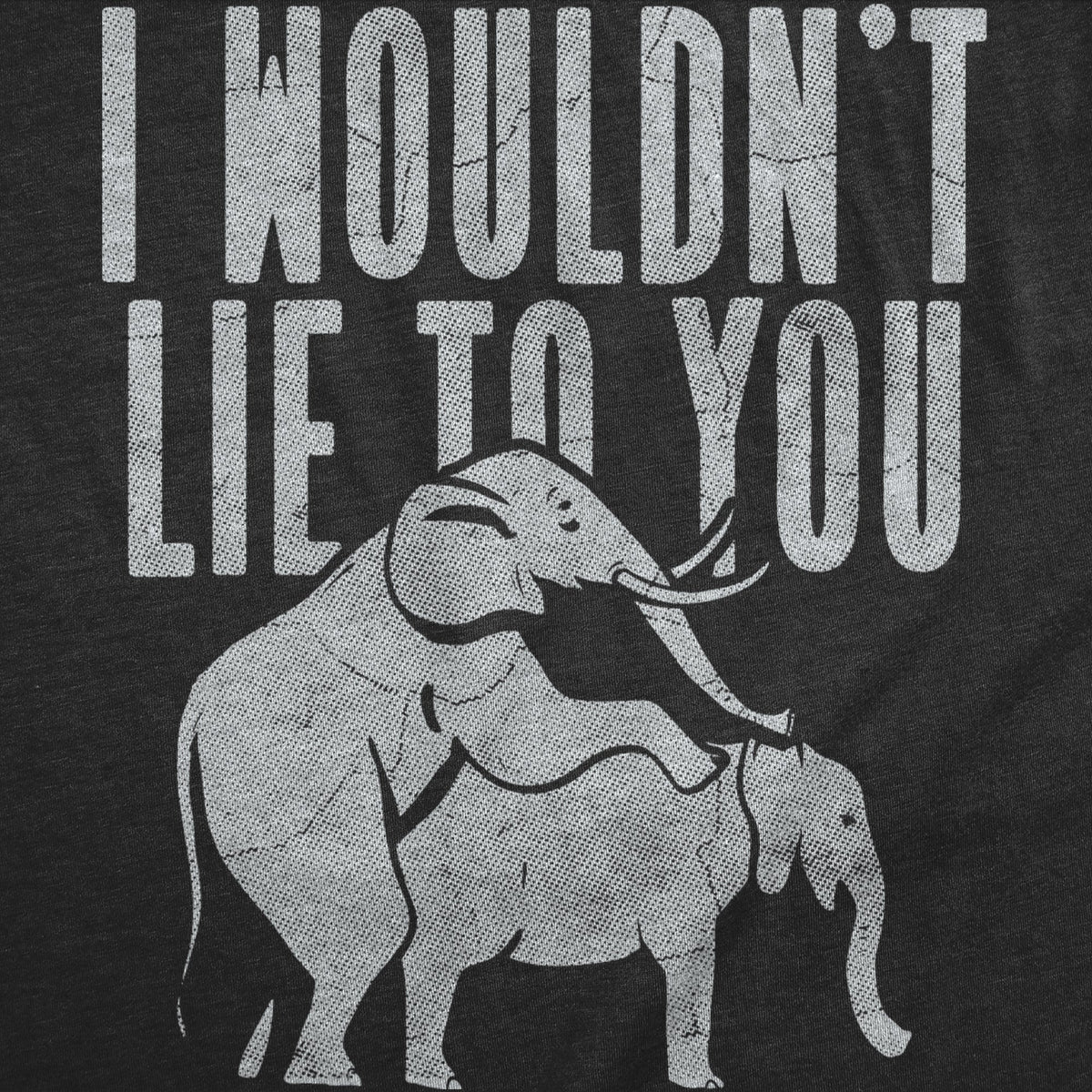 Theres Two Elephants Fucking On The Back Of My Shirt Men's T product image 4