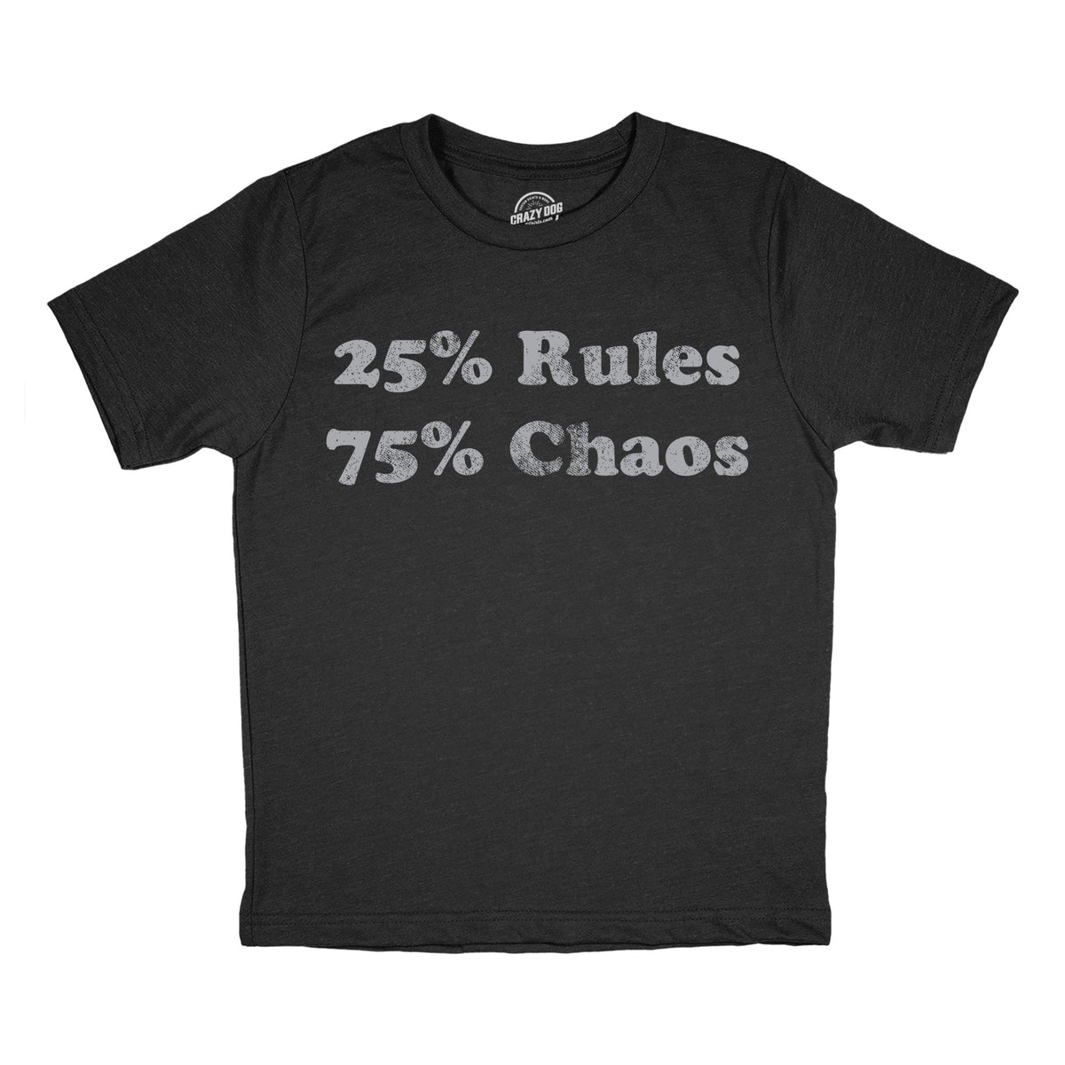 25 Percent Rules 75 Chaos Youth T Shirt product image 1