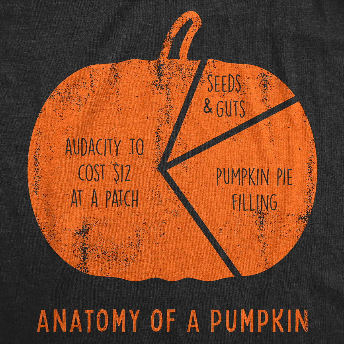 Anatomy Of A Pumpkin Women's T Shirt product image 2