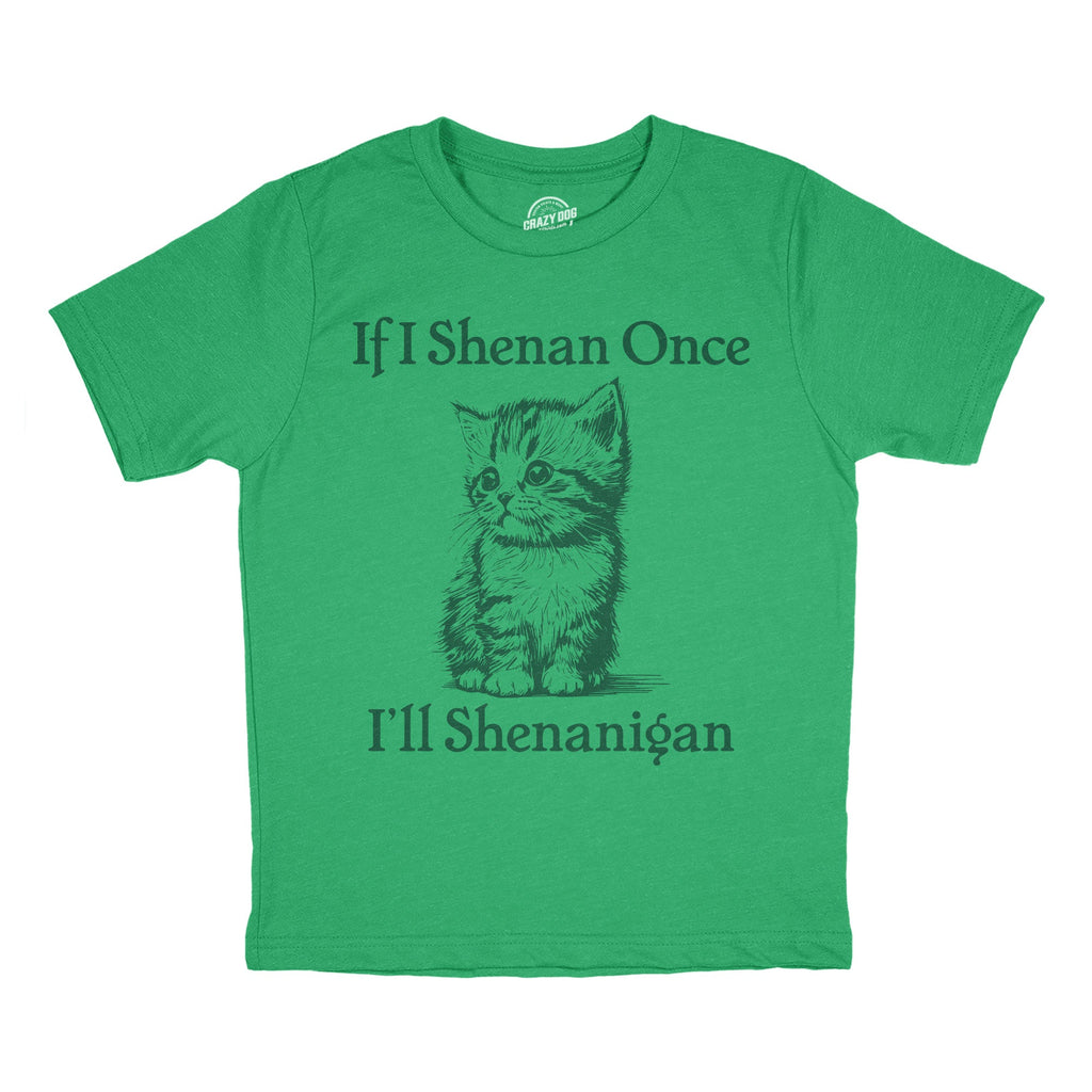 If I Shenan Once Ill Shenangian Youth T Shirt product image 1