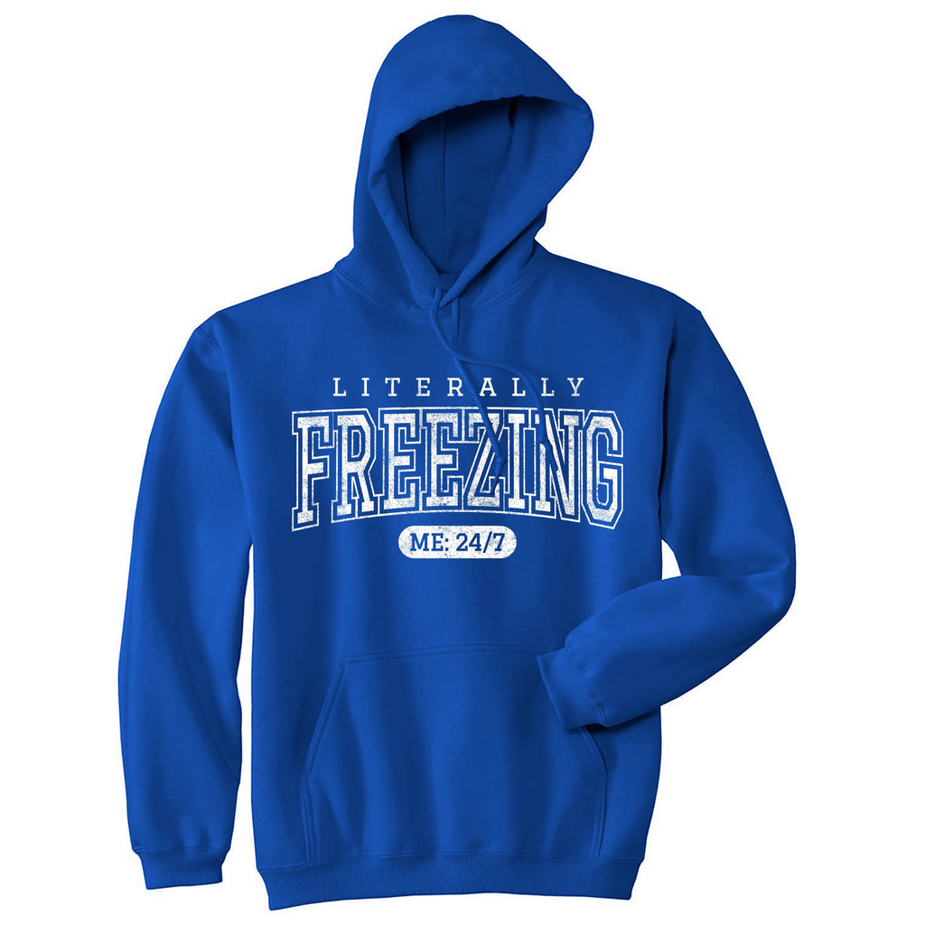 Literally Freezing Hoodie product image 1