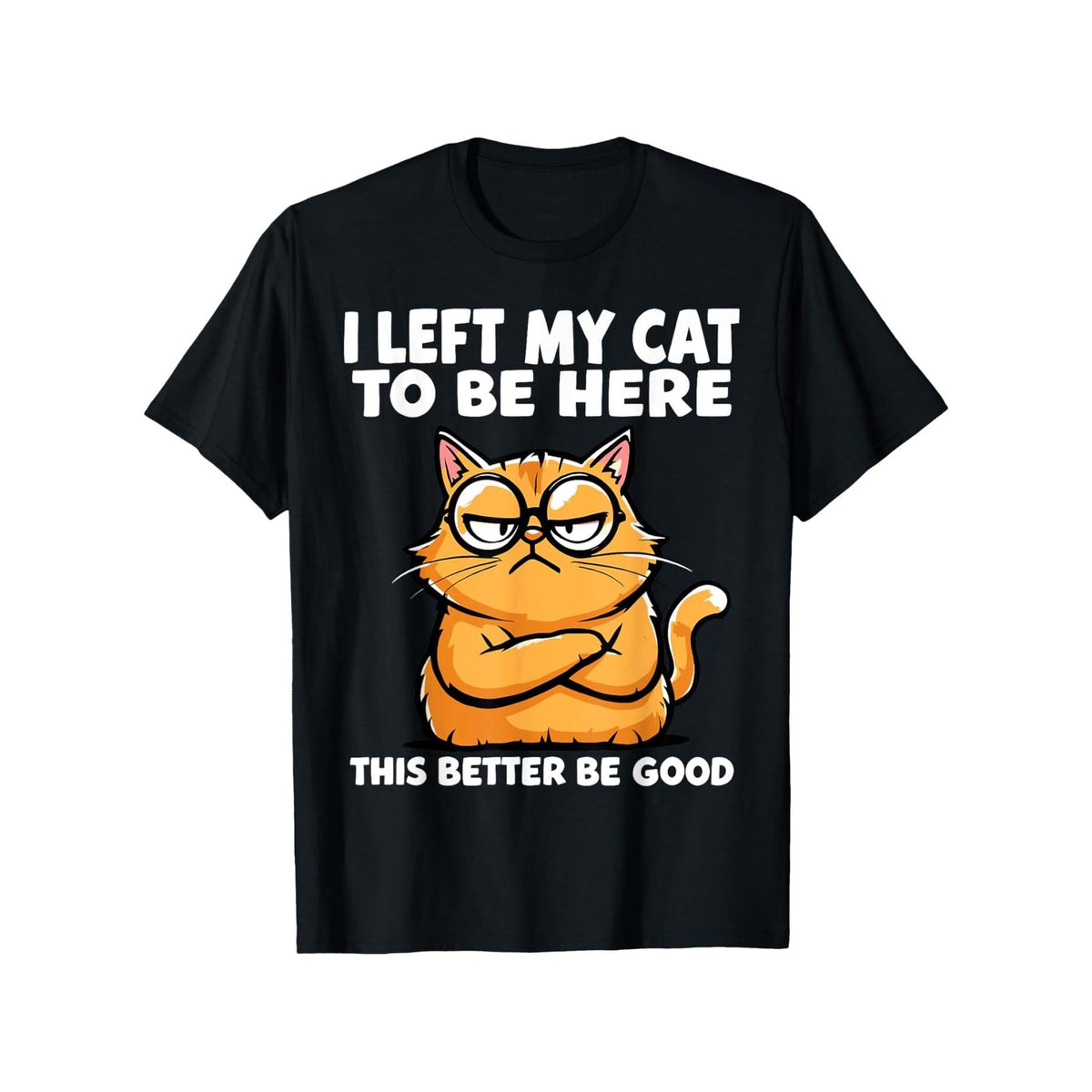 I Left My Cat to Be Here, This Better Be Good Funny Lover product image 1