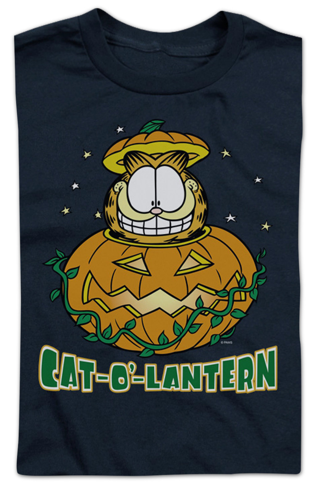 Youth Cat-O'-Lantern Garfield Shirt product image 2