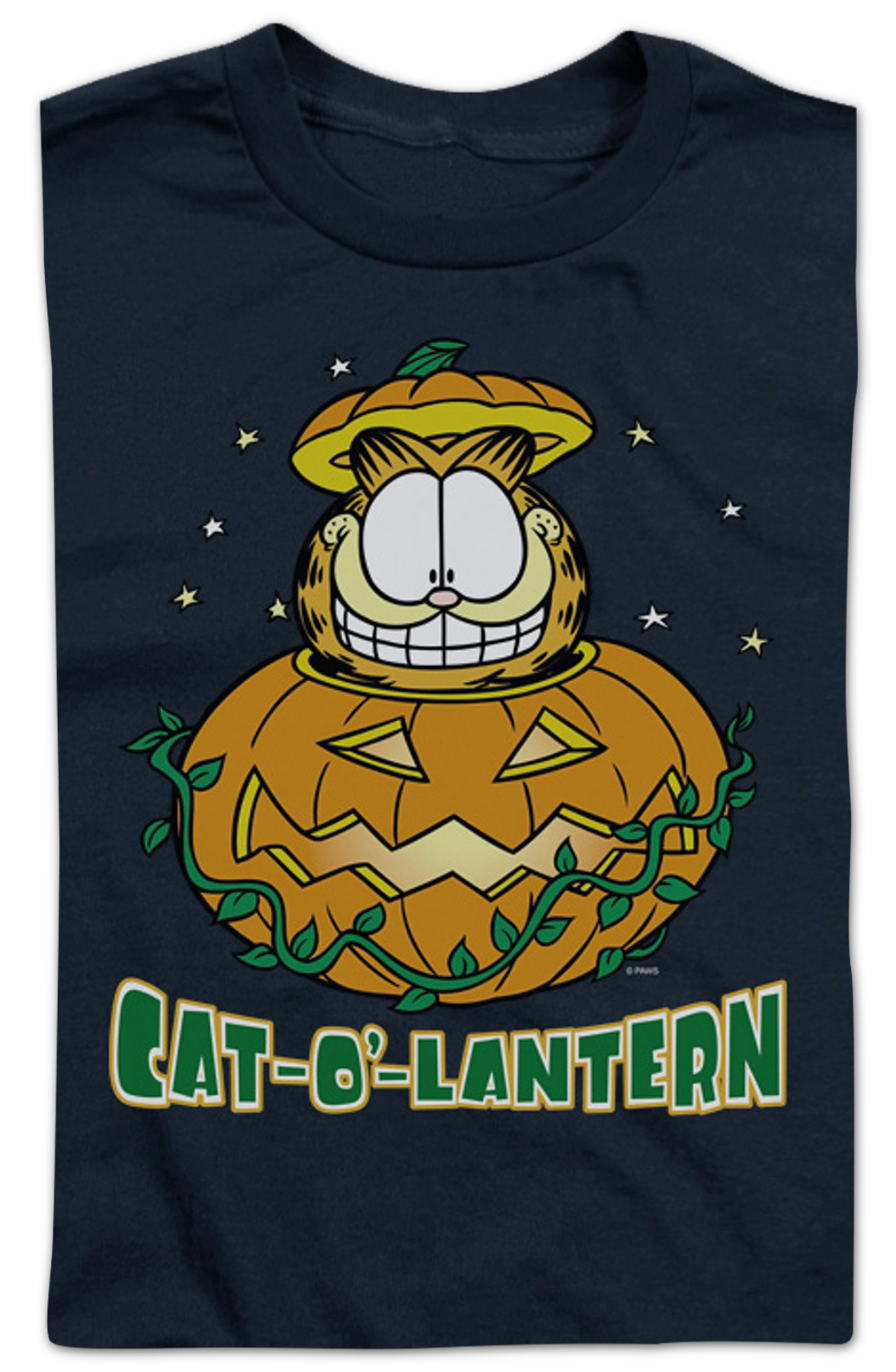 Youth Cat-O'-Lantern Garfield Shirt product image 2